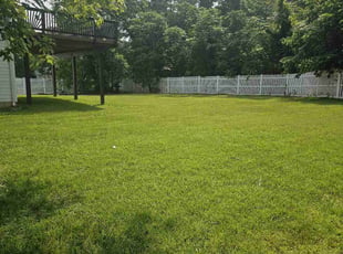 Isaiah V.'s turf maintenance service result