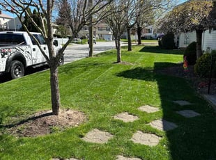 Sue B.'s lawn maintenance service result