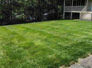 Jubin J.'s lawn service service result