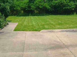 Caylan M.'s lawn maintenance service result