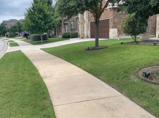 Justin L.'s grass maintenance service result