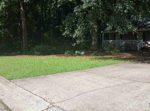 Alex S.'s grass cutting service result