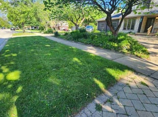 Bernard B.'s lawn care service result