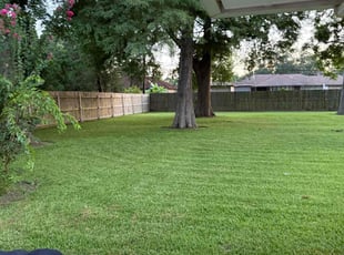 Kenneth H.'s turf care service result