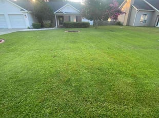 Mary H.'s lawn care services service result