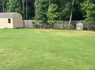 Debra P.'s grass cutting service result