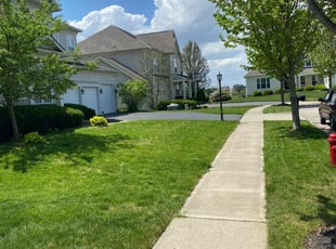 Gopal A.'s lawn care service result