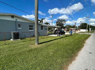 Carl F.'s lawn care service result
