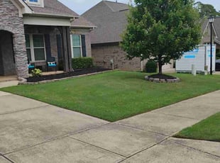 Tara V.'s lawn service service result