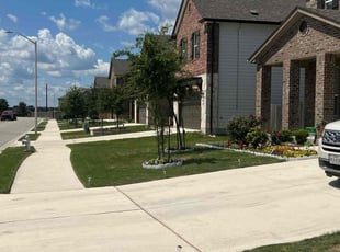 Terri O.'s lawn service service result
