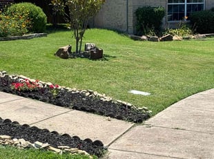 Jesse G.'s grass maintenance service result