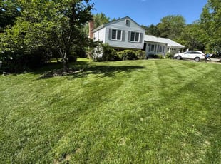Shawnee H.'s lawn maintenance service result