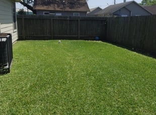 Heather D.'s yard work service result