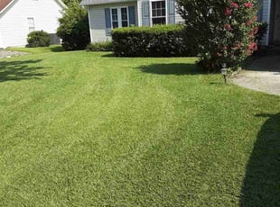 Zac R.'s lawn care services service result