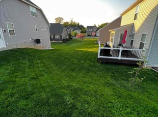 Amira H.'s grass cutting service result