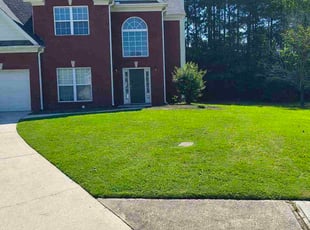 Yokasta D.'s lawn maintenance service result
