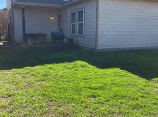 Patrice J.'s lawn care service result