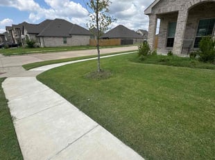 Michael M.'s lawn care service result
