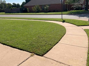 Tyler B.'s lawn maintenance service result
