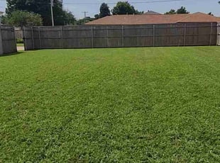 Tylere H.'s turf maintenance service result