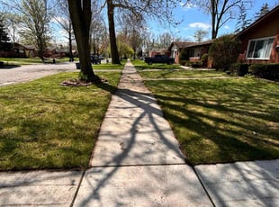 Athena C.'s lawn care services service result