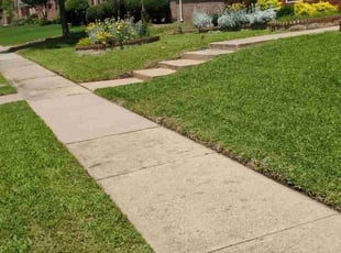 LeNita B.'s turf maintenance service result