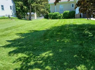 Jere R.'s turf care service result