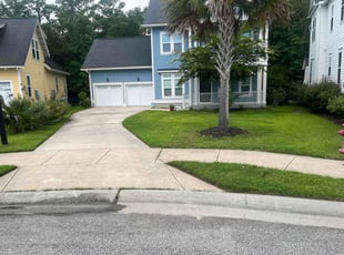 Michael M.'s lawn maintenance service result