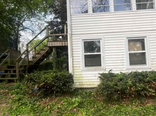 Maria B.'s Bush Trimming service result