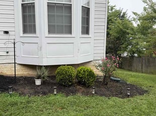 Chrisala S.'s Weeding service result