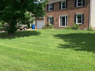 Marc L.'s grass maintenance service result