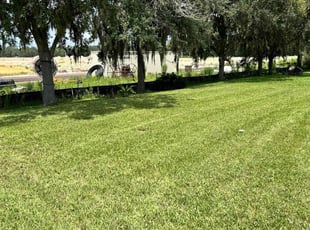 Stayce D.'s grass maintenance service result