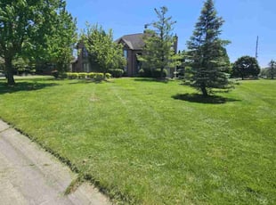 Daniel L.'s lawn care service result