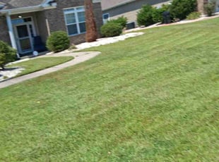 Melissa R.'s Bush Trimming service result