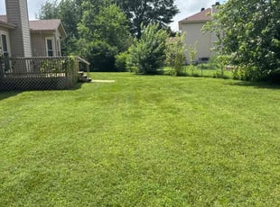 Jim K.'s lawn care services service result