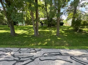 Kelly K.'s turf care service result