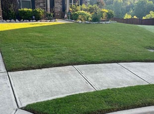 Patricia D.'s lawn care service result