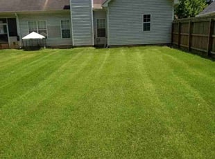 Brenda M.'s lawn care service result