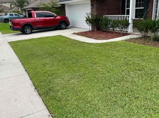 Dave M.'s lawn care services service result