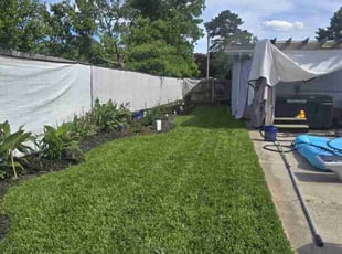 Gregory S.'s turf care service result
