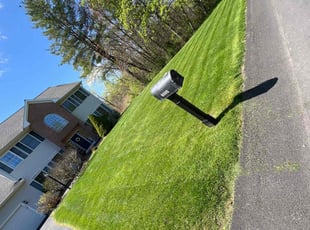 Mae S.'s turf maintenance service result
