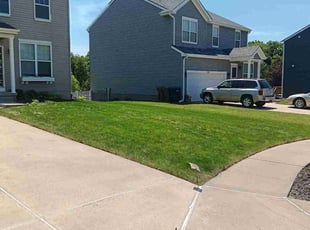 Lisa B.'s grass cutting service result