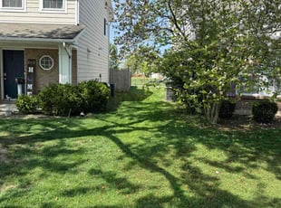 Nicholas H.'s turf maintenance service result