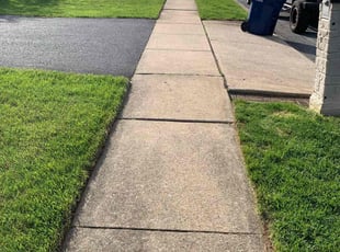Timothy W.'s lawn service service result