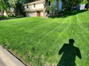 Carlos W.'s grass maintenance service result