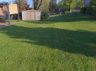 Jeff K.'s lawn maintenance service result