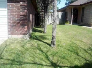 Christa M.'s lawn service service result