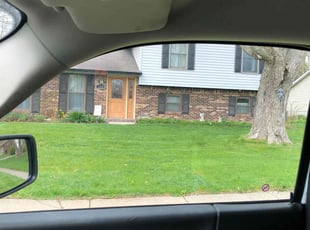 Afshan Q.'s lawn maintenance service result