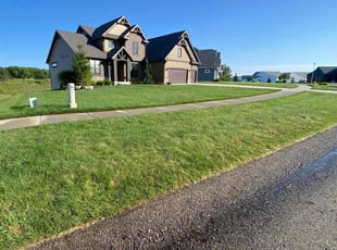 Salvador S.'s grass cutting service result