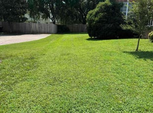 Shakedra C.'s lawn care services service result